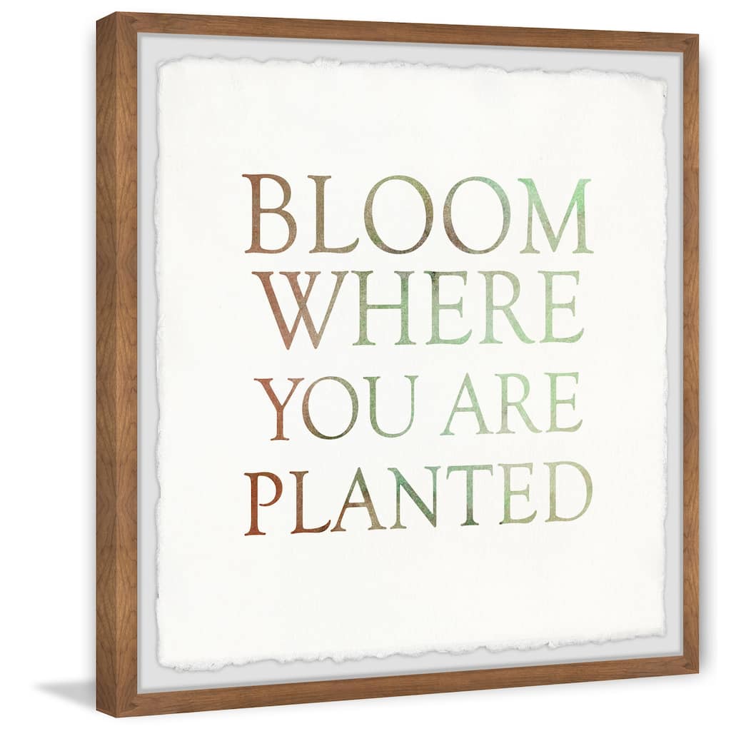 Bloom Where You Are Planted II Framed Wall Art, Floral Delight - A Blooming Accent for Your Living Space