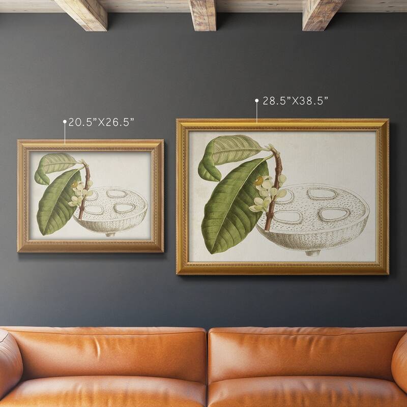 Tropical Foliage & Fruit VII Premium Framed Canvas- Ready to Hang