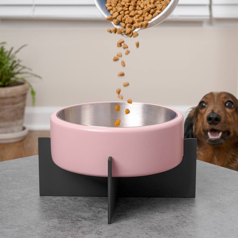 Intersecta Concrete & Steel Pet Feeder - 16oz with Metal Stand