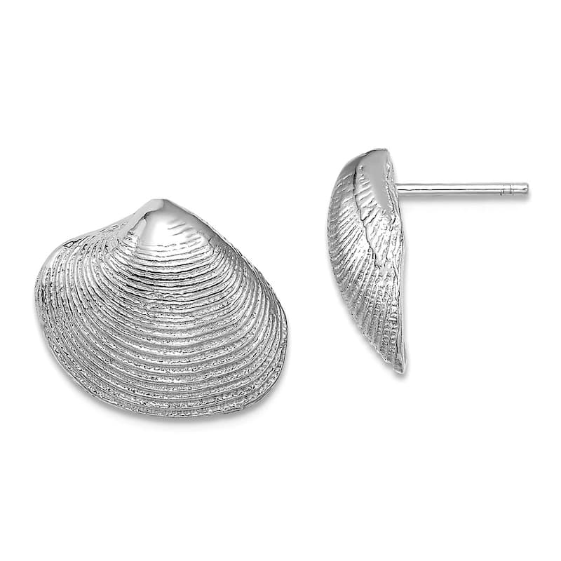 Curata 14k Yellow or White Gold Clam Shell Post Earrings - 12.65x15mm - White Gold