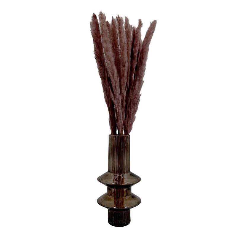 Bundle of 4 Preserved flowers Small pampass grass, 20" long - 20 inch