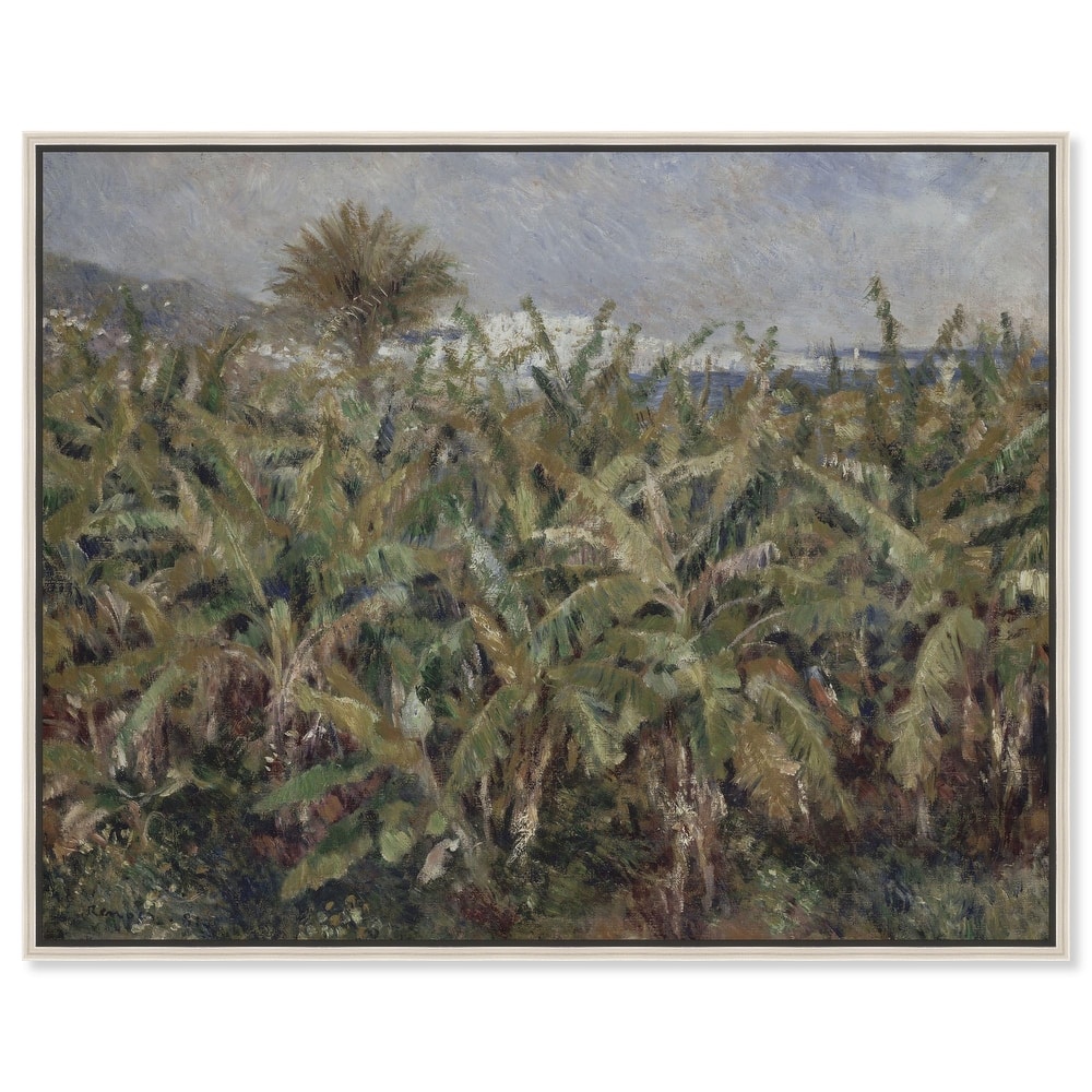 Field of Banana Trees Canvas by Art Remedy