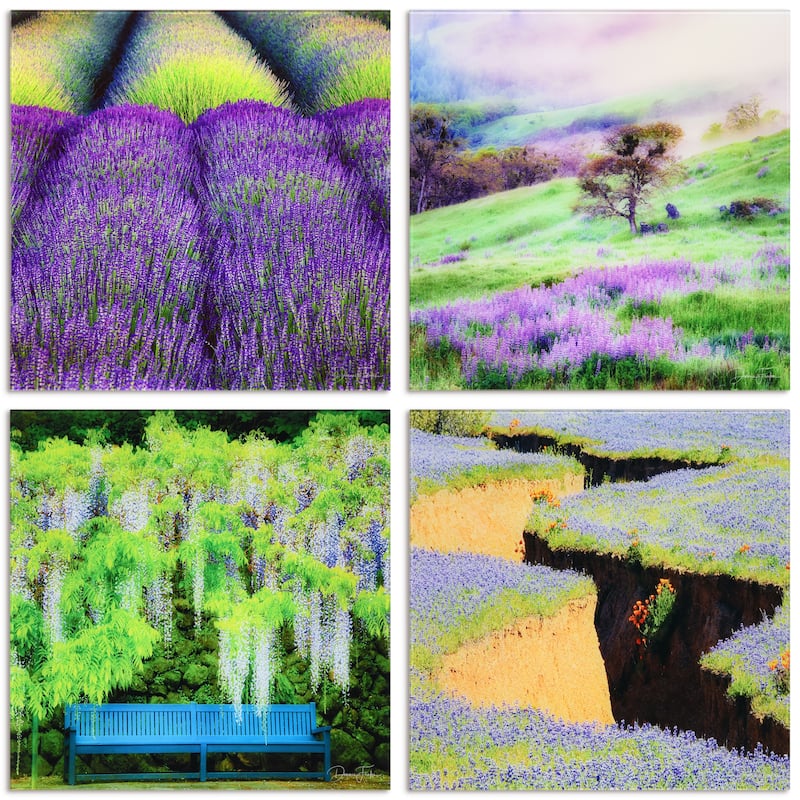 "Splendid Lavander" Frameless Free Floating Reverse Printed Tempered Glass Nature Scapes Wall Art