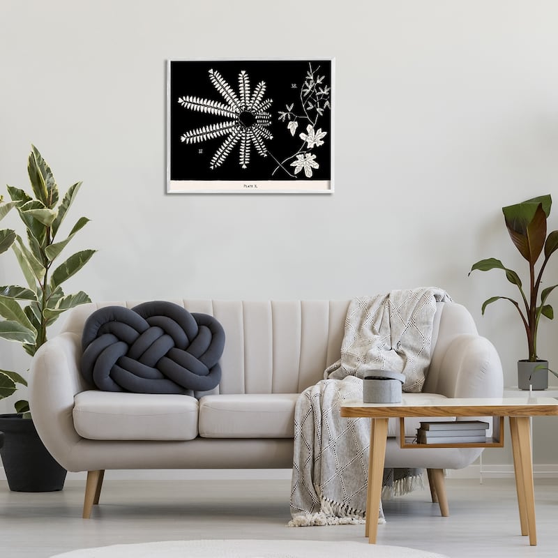 Stupell Ferns & Leaves on Black Framed Giclee Art Design By Phillipa Katz