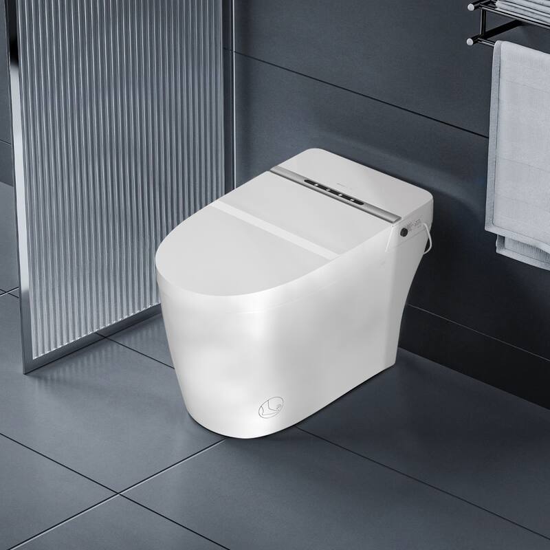 Topcraft Bathroom One Piece Toilet Smart Toilet with Warm Air Dryer Heated Seat
