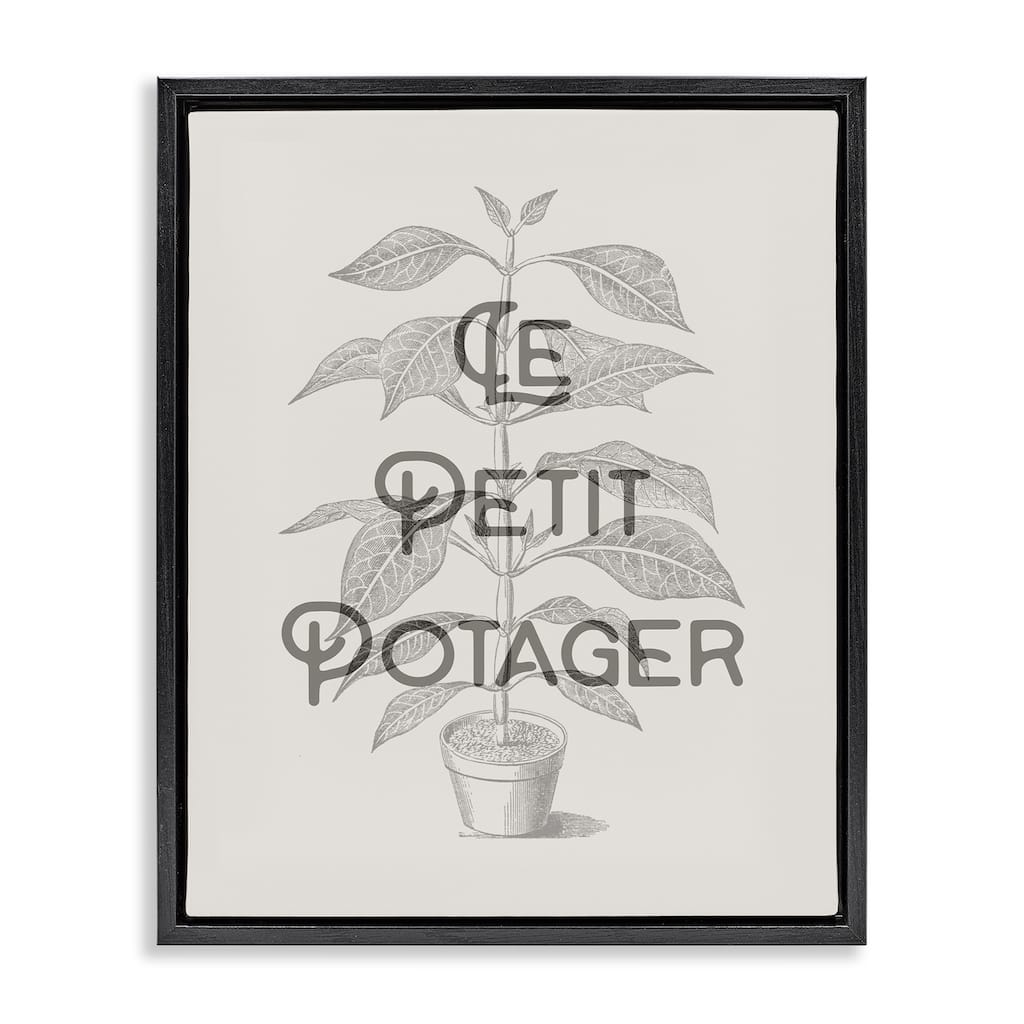 Stupell Vintage French Plant Phrase Framed Floater Canvas Wall Art Design By Lil' Rue