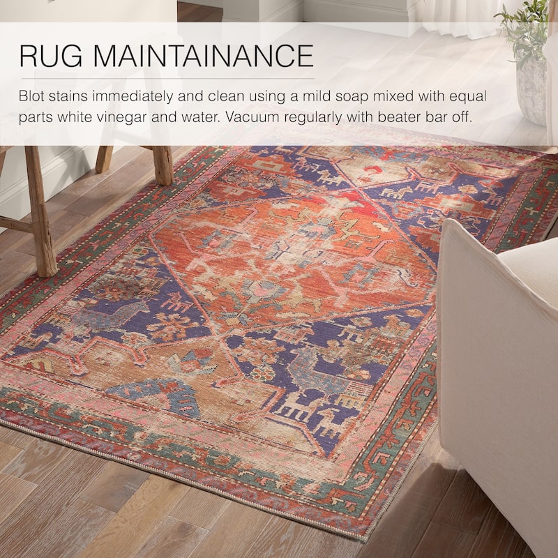 Sancho Machine Washable Medallion Orange/Purple Rug