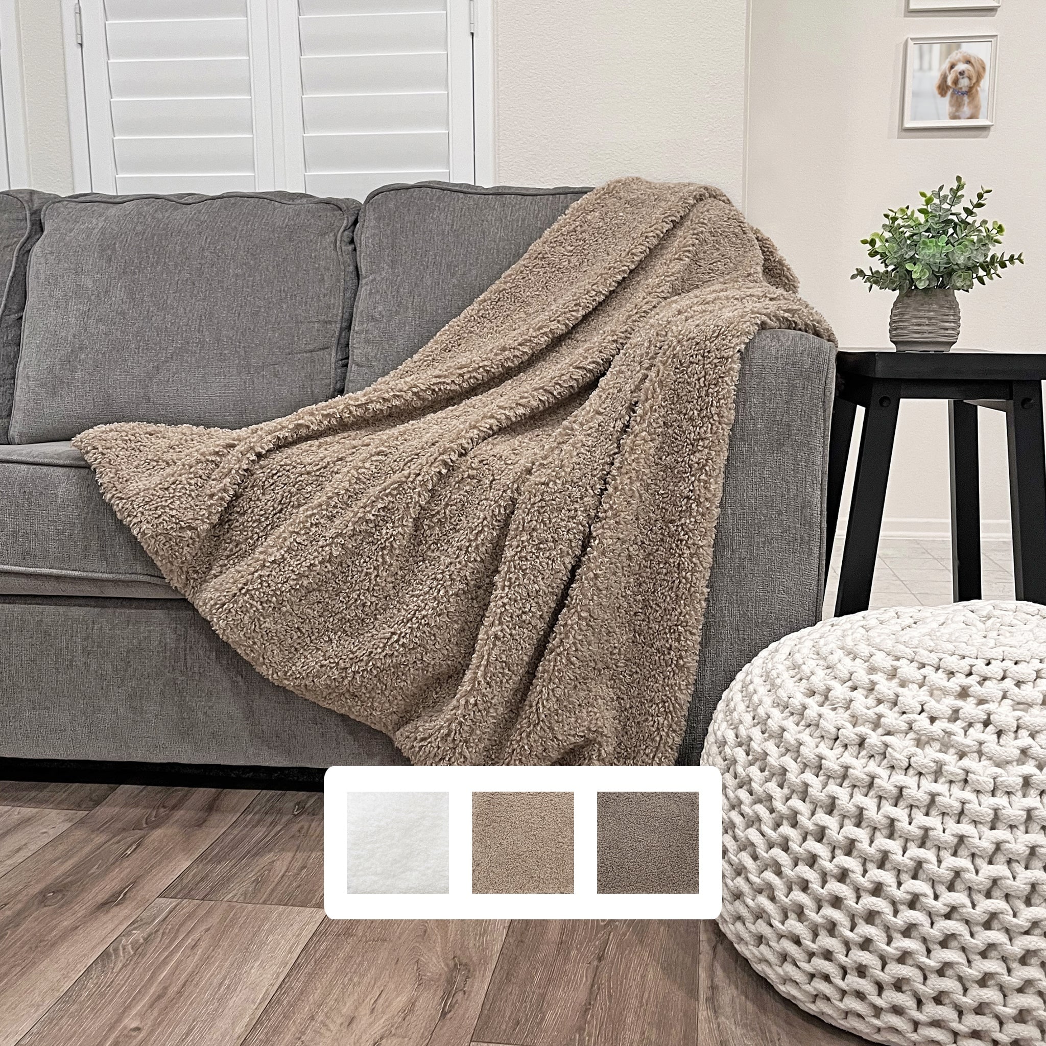 Teddy throw blanket deals