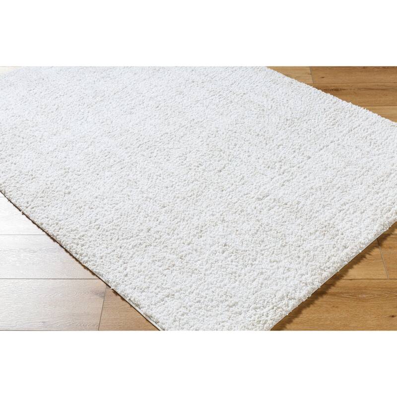Livabliss Bohemian & Eclectic Sacramento Shag Ombre Area Rug