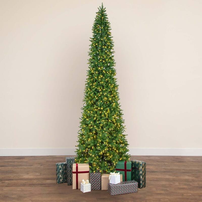 Pre-Lit Mountain Pine Artificial Christmas Tree - 14' - Warm White LED Lights