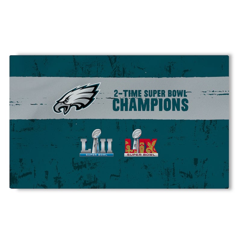 NFL Super Bowl Champs Washable Rug