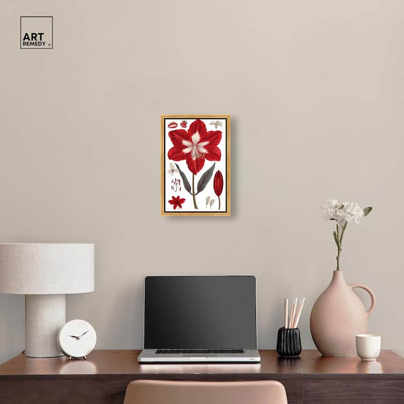 Amaryllis Anatomy Canvas by Art Remedy