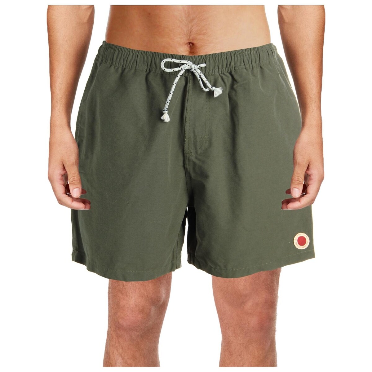 mollusk swim trunks