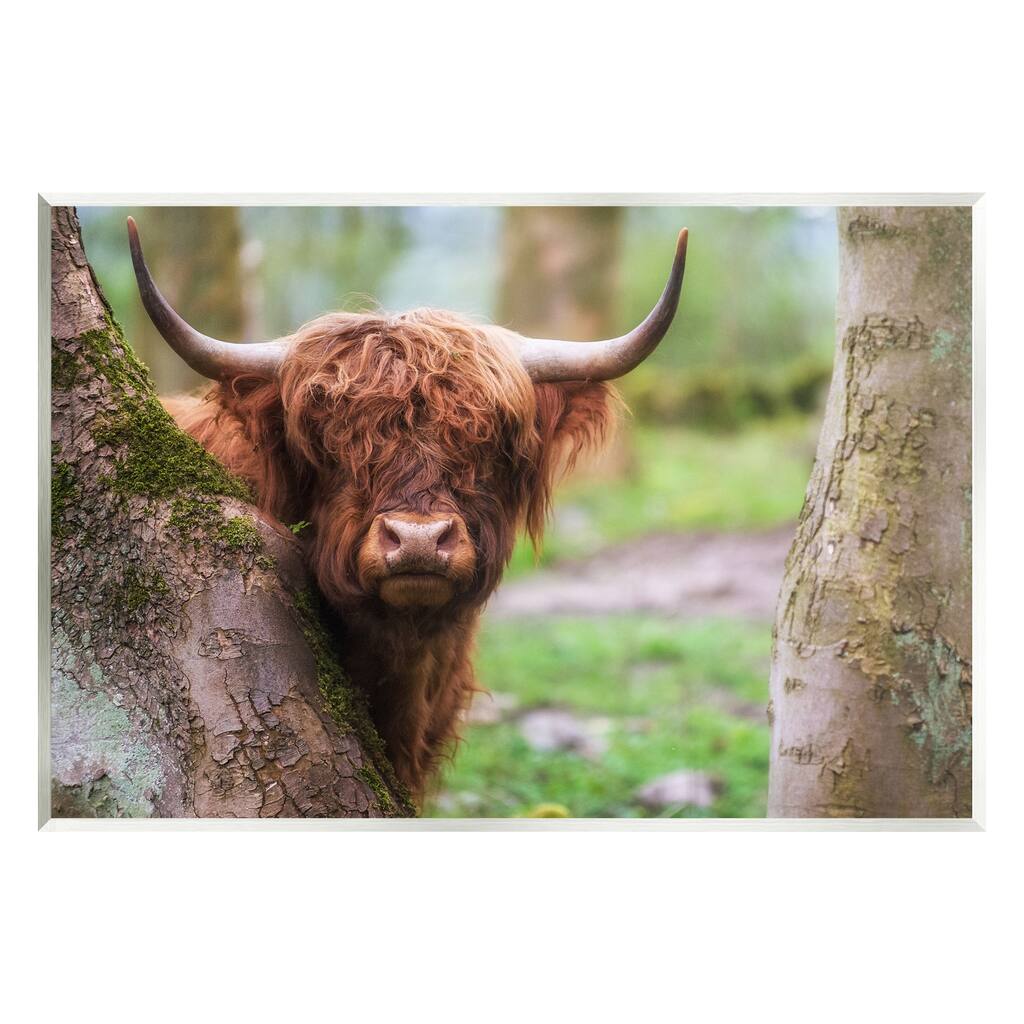 Stupell Highland Cattle Peering Between Trees Lush Nature Scene Wood Wall Art, Design by James Dobson