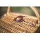 preview thumbnail 9 of 13, Picnic Time Piccadilly Picnic Basket, (Red & White Plaid Pattern)