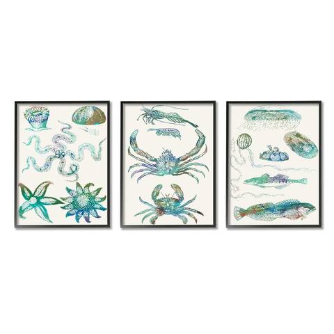 Stupell Industries Collage of Blue Aquatic Creatures Ocean Life, 3pc Multi Piece Framed Wall Art Set