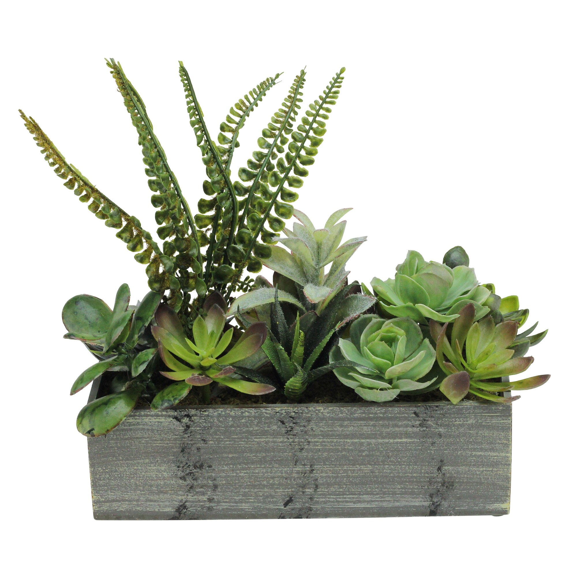 Buy Artificial Plants Online At Overstock Our Best
