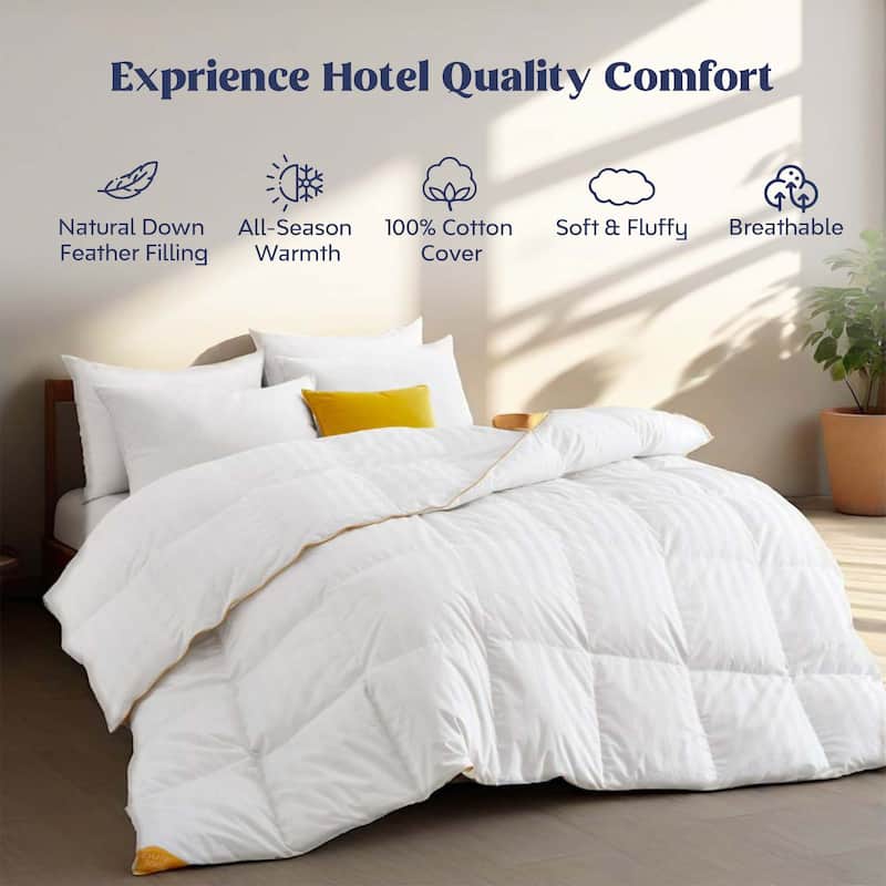 All Season 600 Fill Power 500 TC White Goose Down Comforter Duvet Insert - Twin - White