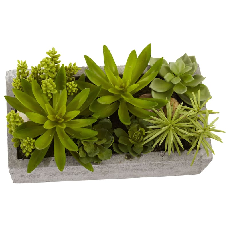 Succulent Garden Decor - Antique Style Planter with Live Plants - Home Office Shelf Decor - 0.54ft.