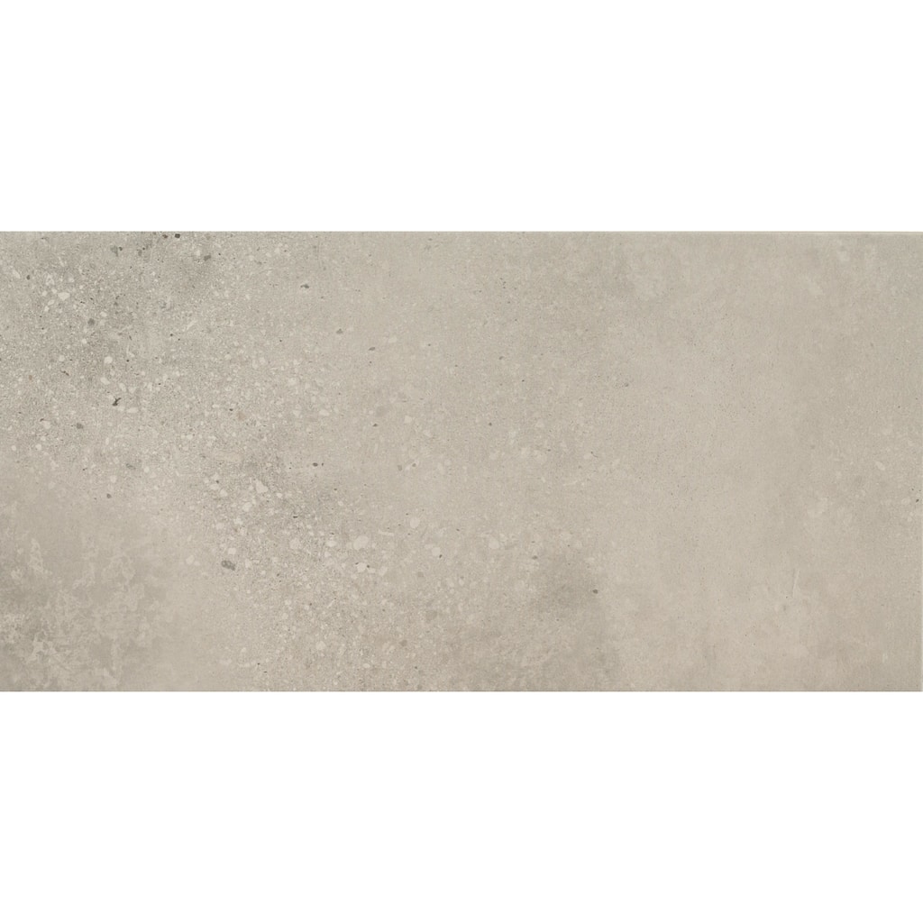 Ackland AKNPTTRA12X24M-PL Traverse - 12" x 24" Porcelain Solid Floor