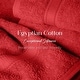 preview thumbnail 145 of 197, Superior Egyptian Cotton 6 Piece Towel Set Ultra Plush & Absorbent Bath, Hand & Face Towels, Heavyweight Spa Quality