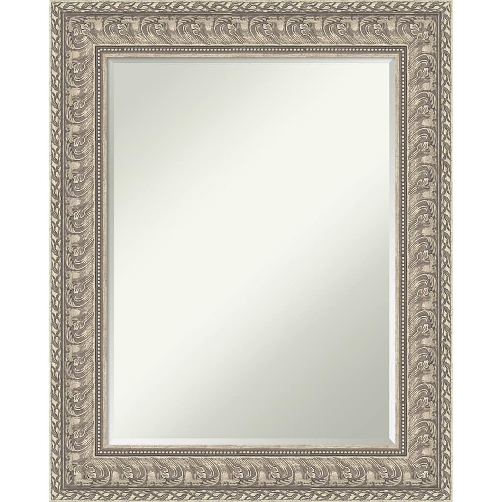 Sydney Half-Inch-Bevel Framed Bathroom Vanity Wall Mirror - Sydney Silver - 25 x 31 in
