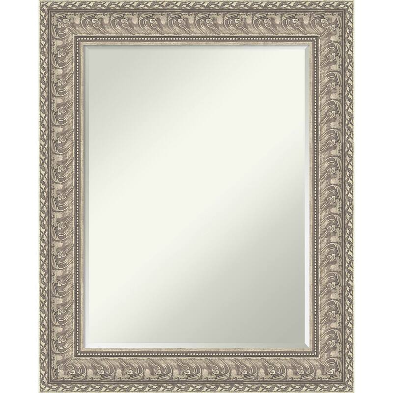 Sydney Half-Inch-Bevel Framed Wall Mirror - Sydney Silver - 25 x 31 in
