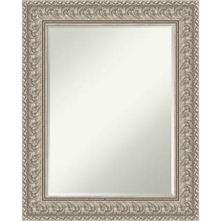 Sydney Half-Inch-Bevel Framed Wall Mirror - Sydney Silver - 25 x 31 in