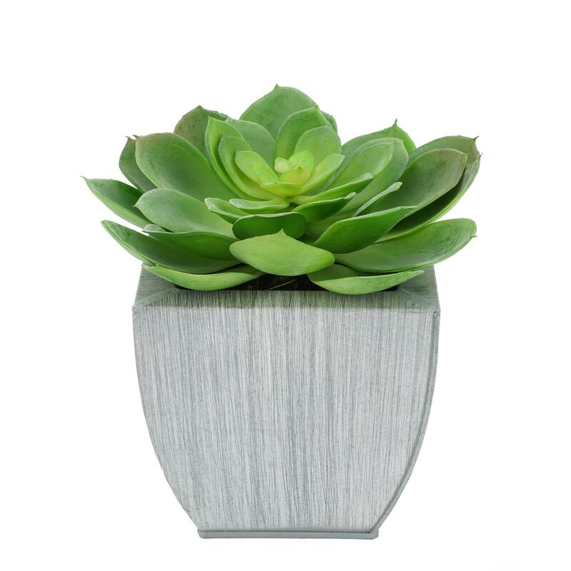 Faux Green Echeveria Succulent in Tapered Zinc Planter
