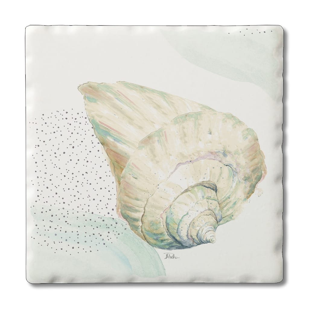 Counterart Absorbent Stone Coasters - Conch - Set of 4 - 4x4x1.544