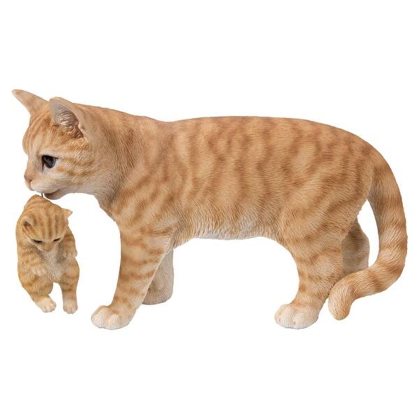 Shop 16 75 Orange And White Tabby Mother Cat Carrying Kitten