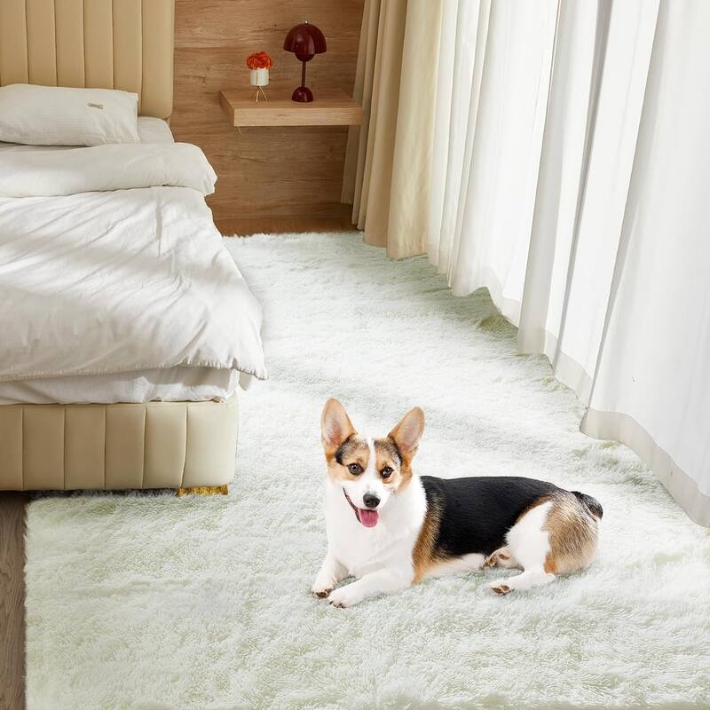 4X6 Fluffy Shag Area Rugs, Super Soft Rugs for Living Room