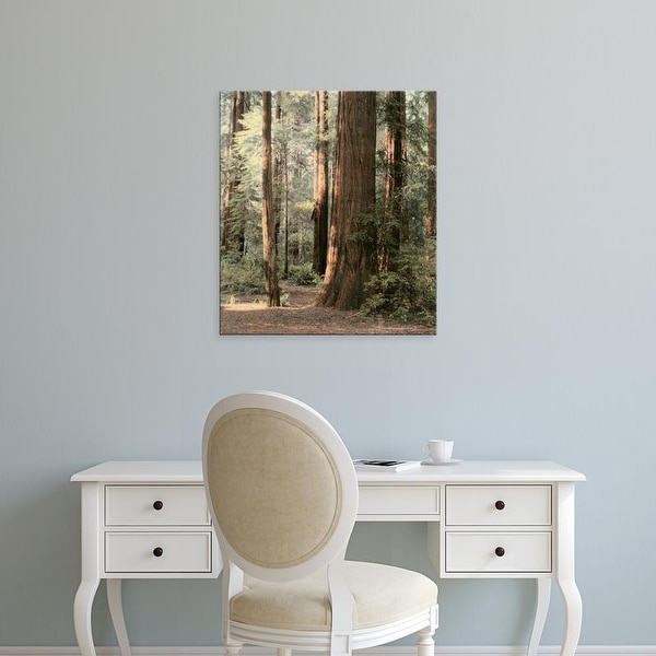Easy Art Prints Laura Culver's 'Redwoods 2' Premium Canvas Art