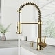 preview thumbnail 70 of 156, VIGO Edison 19" H Single Handle Pull-Down Sprayer Kitchen Faucet