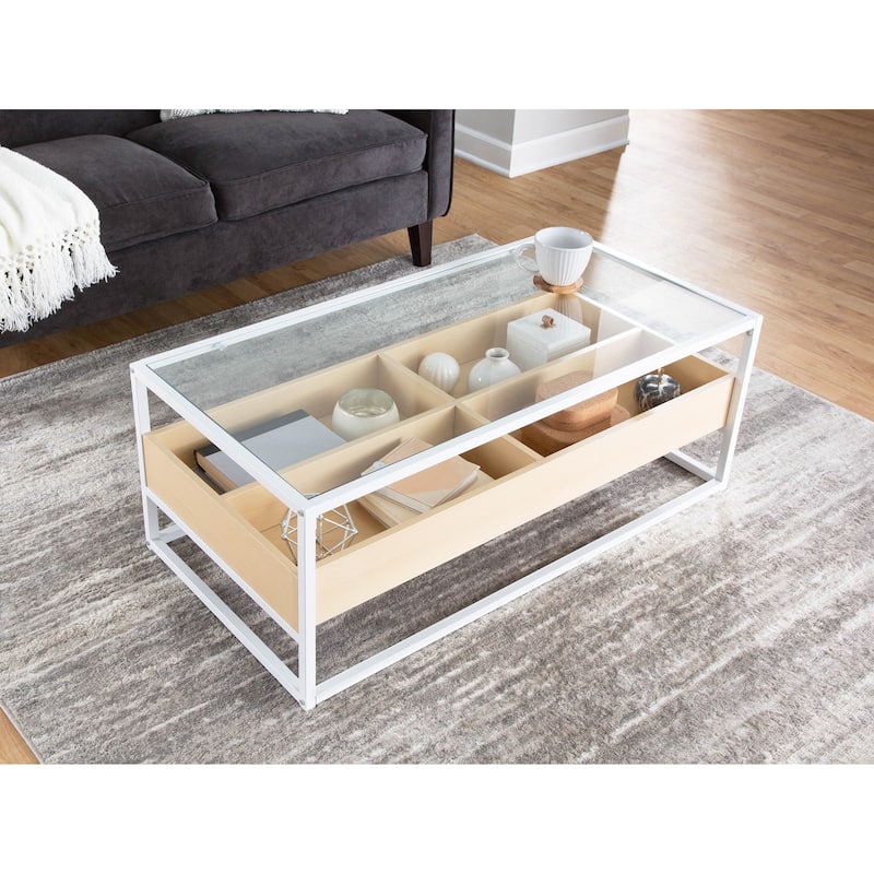 Display Coffee Table with Storage