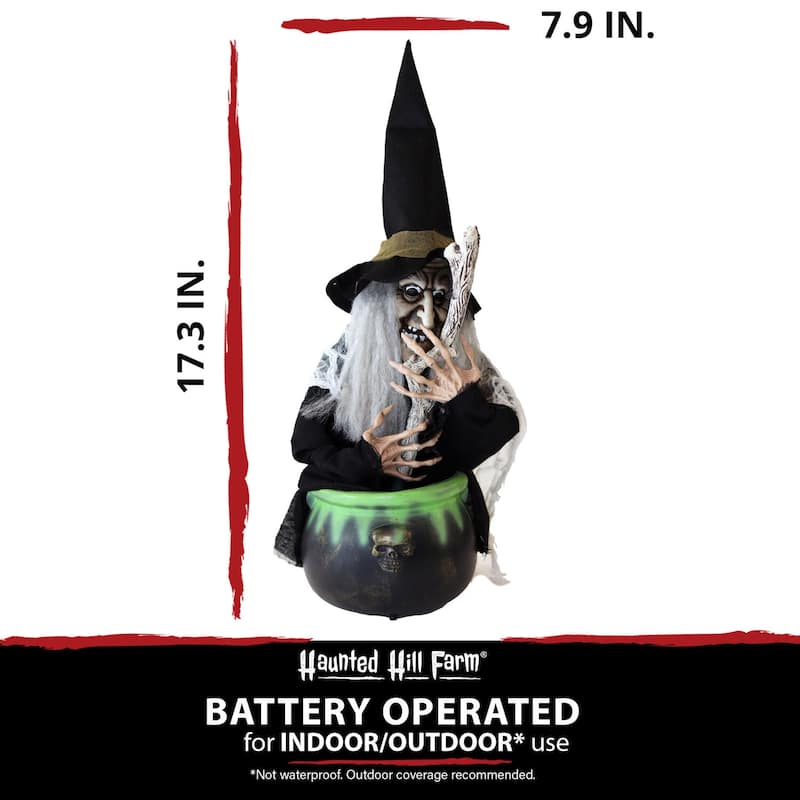 Haunted Hill Farm 1.6-ft. Animated Witch, Indoor/Covered Outdoor Halloween Decoration, Red/Green LED Eyes, Evanora