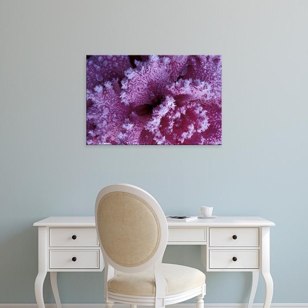 Easy Art Prints Michele Westmorland's 'Frost