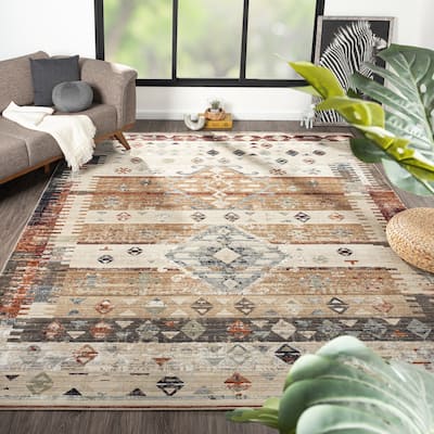 Petra Rustic Earth Tones Area Rug