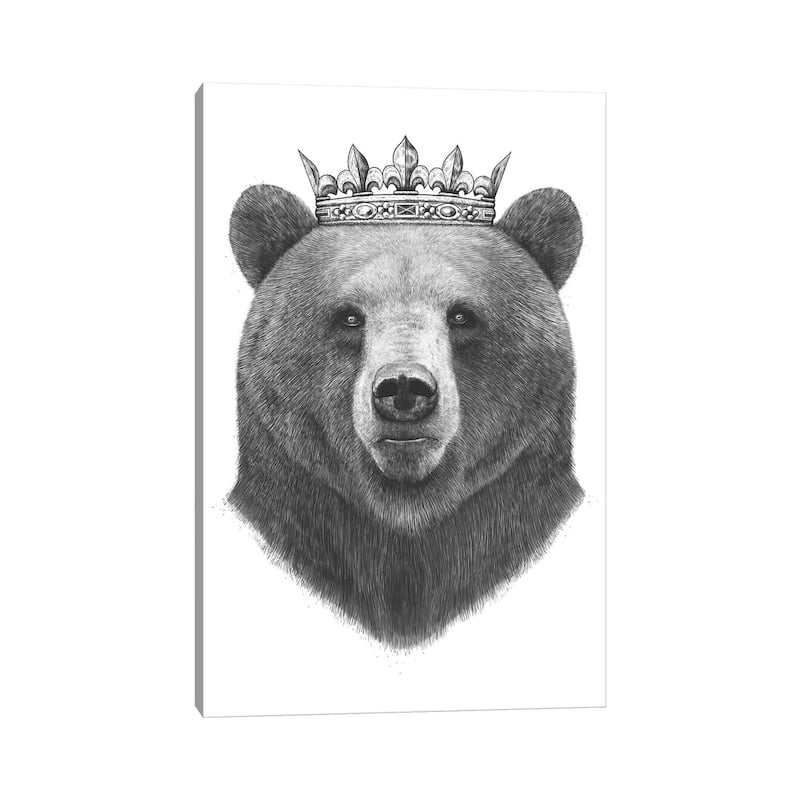 iCanvas "King Bear" by Valeriya Korenkova Canvas Print