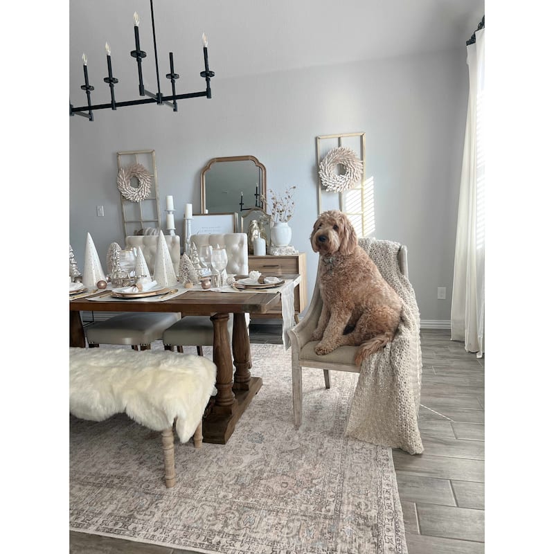Hauteloom Ariana Living Room, Bedroom Machine Washable Area Rug - Pearl, Dark Brown, Brown - 5' x 7'6"