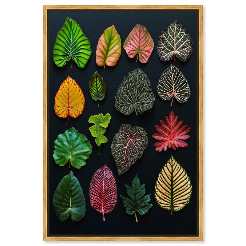 Leaf Lexicon Canvas by Art Remedy - Gold - 16" x 24"