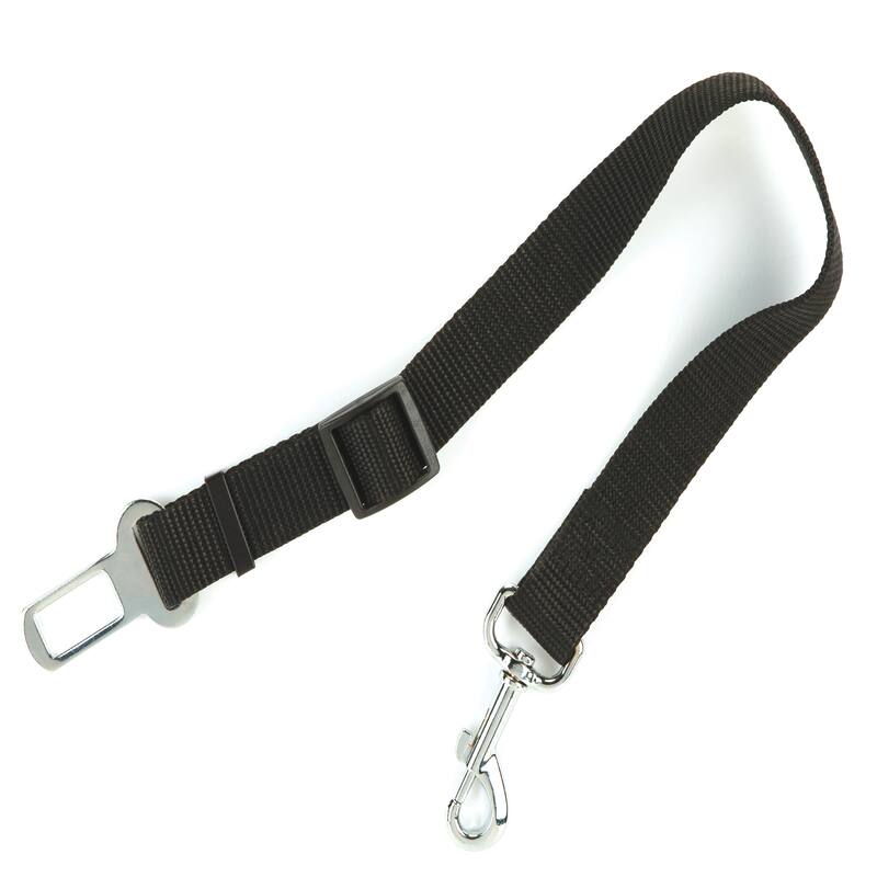 Pounce + Fetch Seatbelt Leash with Bonus Dividing Net - 15.75" x 29.53" x 0.2"
