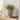 Christopher Knight Home - Aesthetic 21.65'' Tall Outdoor Lightweight Garden Planter Urn with Mottled Texture Antique Design