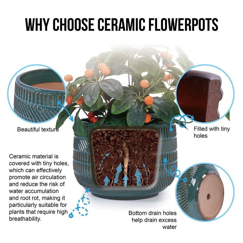 Handmade Textured Ceramic Pots for Succulents & Herbs, Indoor/Outdoor