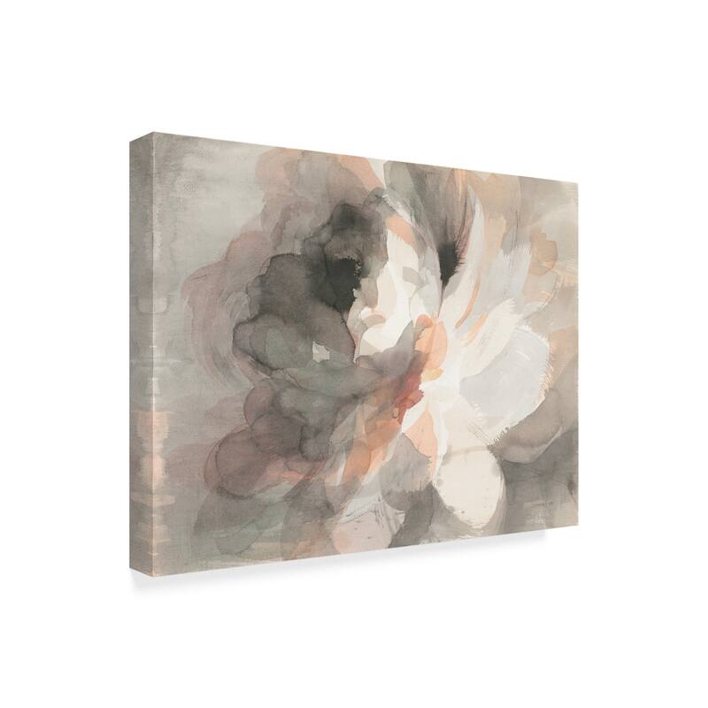 Danhui Nai 'Abstract Peony' Canvas Art