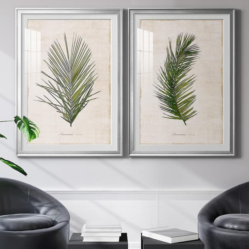 Palm Botanical I Premium Framed Print - Ready to Hang
