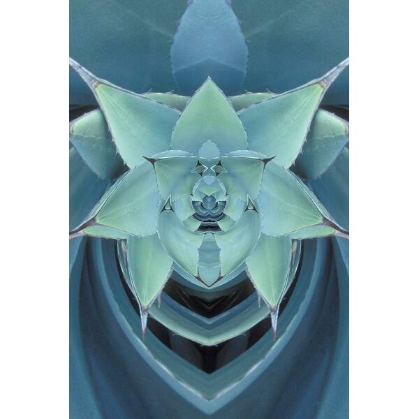 Shop Easy Art Prints Adam Jones S Agave Cactus Premium Canvas Art On Sale Free Shipping On Orders Over 45 Overstock 25742941