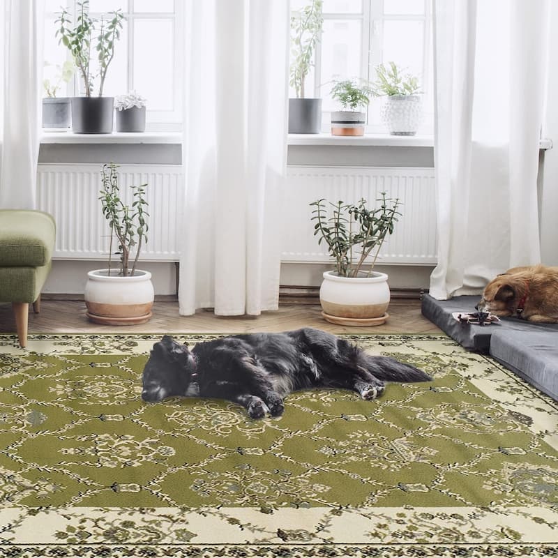 Superior Stratton Oriental Floral Medallion Area Rug