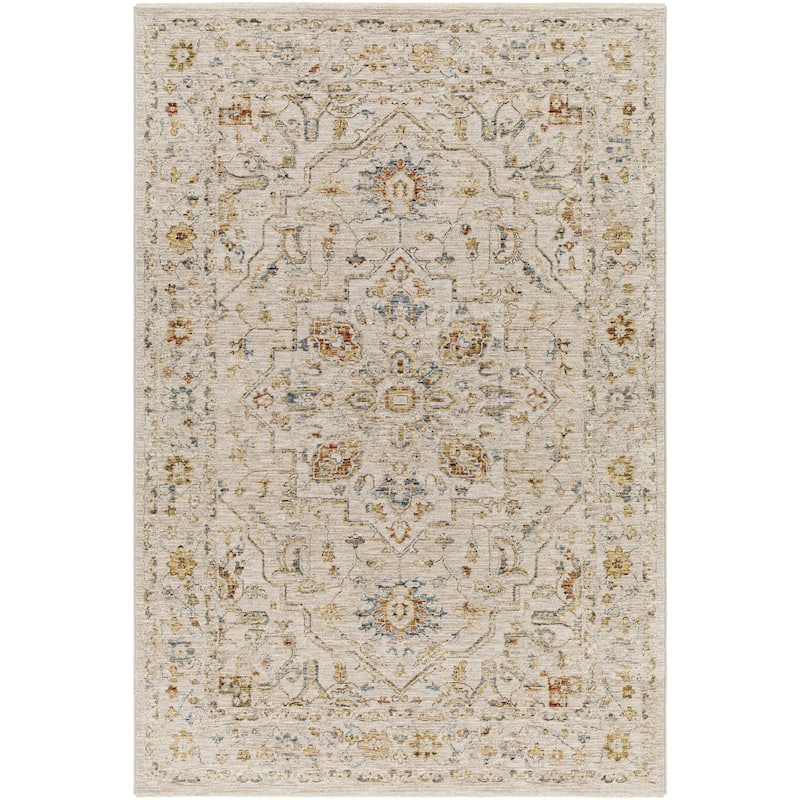Tereza Updated Traditional Medallion Area Rug