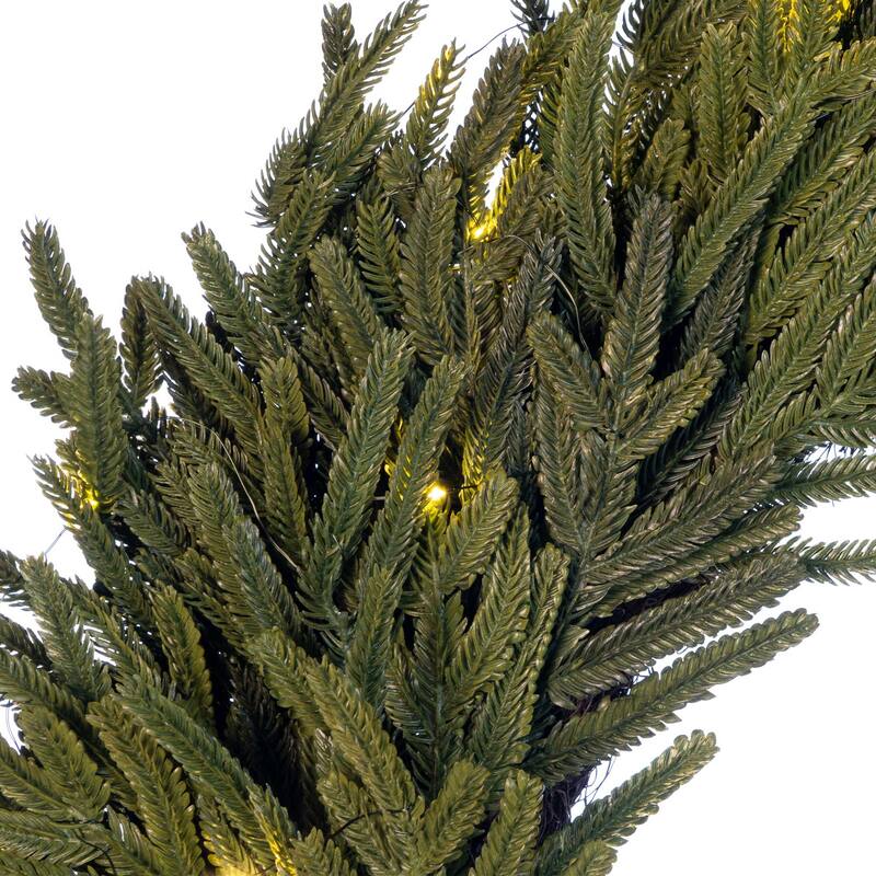 24 in. Pre-Lit LED Wreath - Norfolk